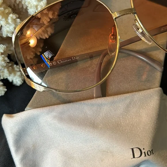 Christian Dior Sunny’s Full Inclusion